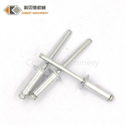 Industrial Manufacture Auto Blind Rivets